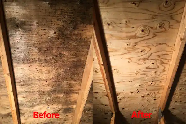 water damage restoration service Cairo